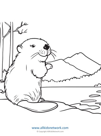 Beaver coloring page all kids network