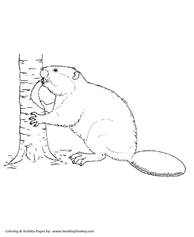 Wild animal coloring pages beaver cutting down a tree coloring page and kids activity sheet