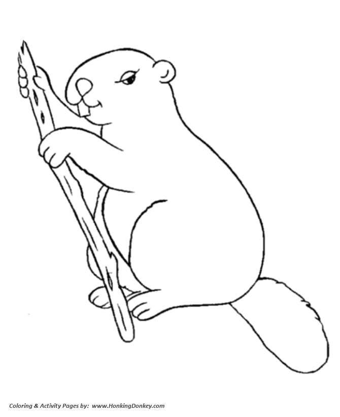 Wild animal coloring pages busy beaver with a stick coloring page and kids activity sheet