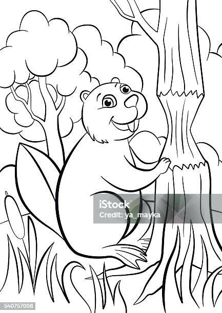 Coloring pages little cute beaver smiles stock illustration