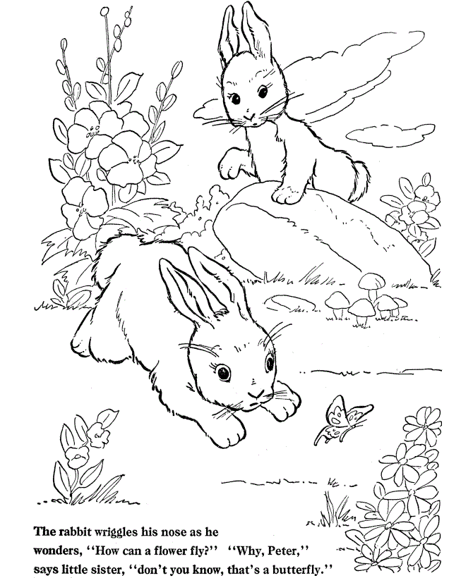 Free printable rabbit coloring pages for kids bunny coloring pages animal coloring pages butterfly coloring page