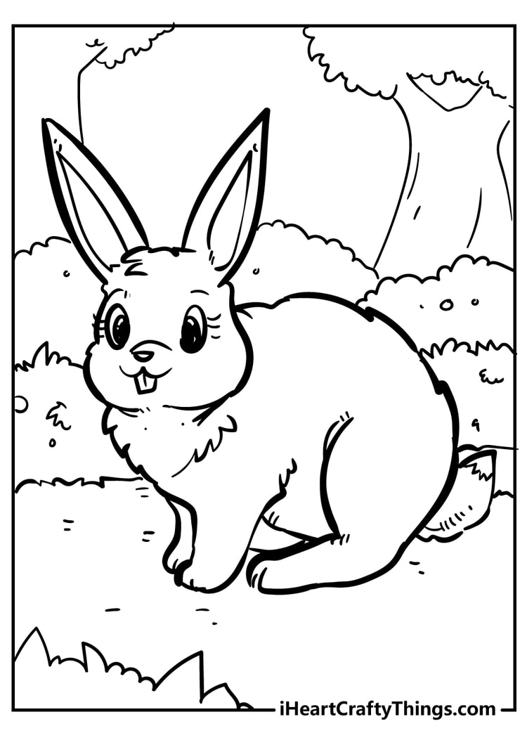 Rabbit coloring pages free printables