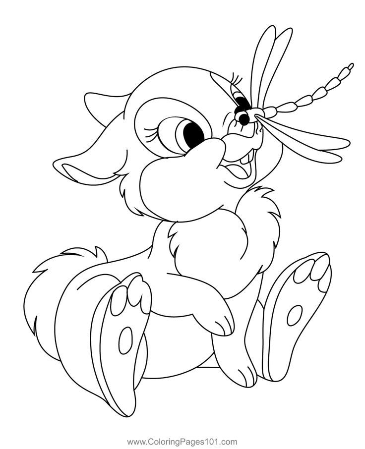 Dragonfly sitting on bunny nose coloring page bunny coloring pages animal coloring pages coloring pages