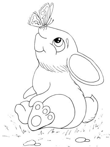 Rabbit with butterfly on his nose coloring page free printable coloring pages