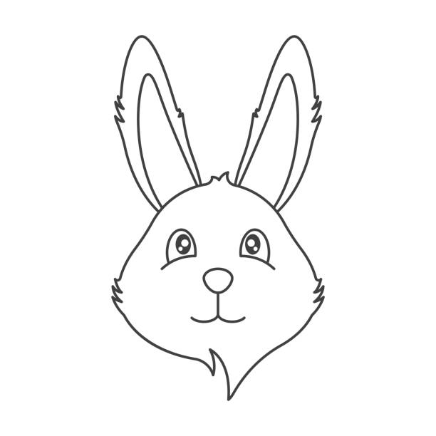 Rabbit nose stock illustrations royalty