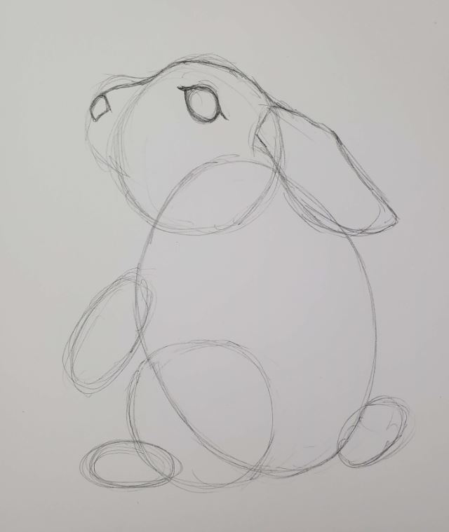 How to draw a bunny step by step