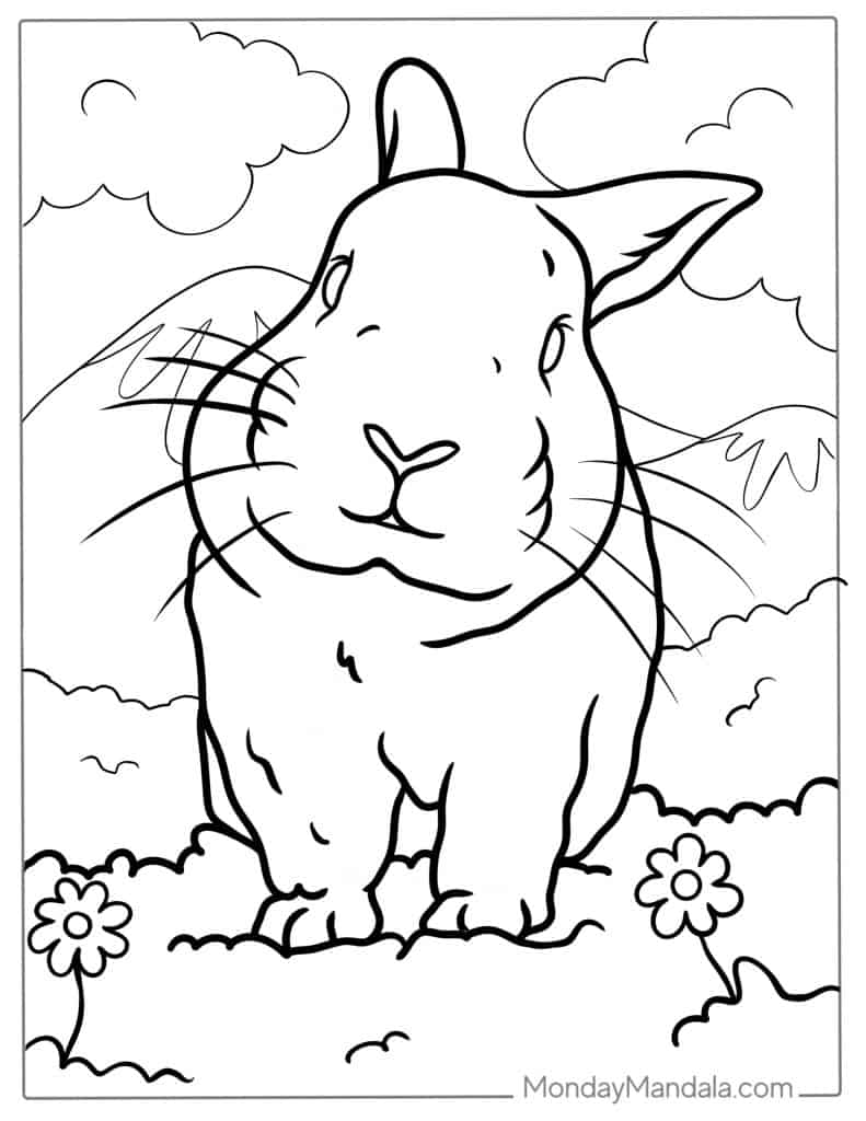 Rabbit coloring pages free pdf printables