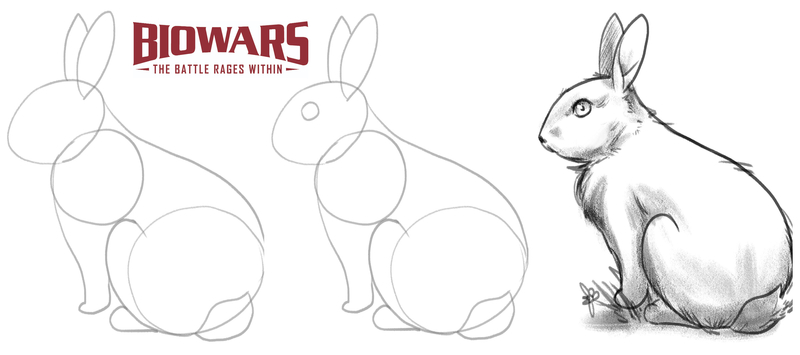 Bunny drawing in easy steps video illustrations