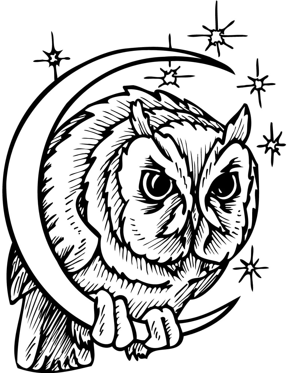 Crescent moon owl coloring page