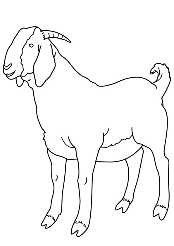 Coloring pages goat coloring pages for kids