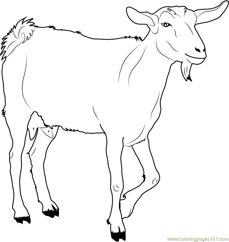 Goat coloring pages printable for free download