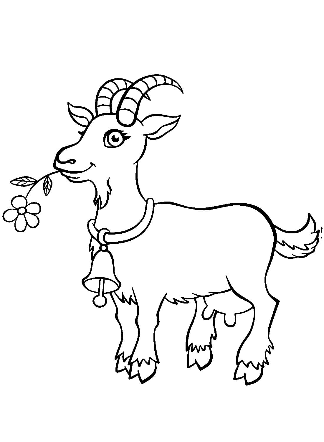 Goat coloring pages