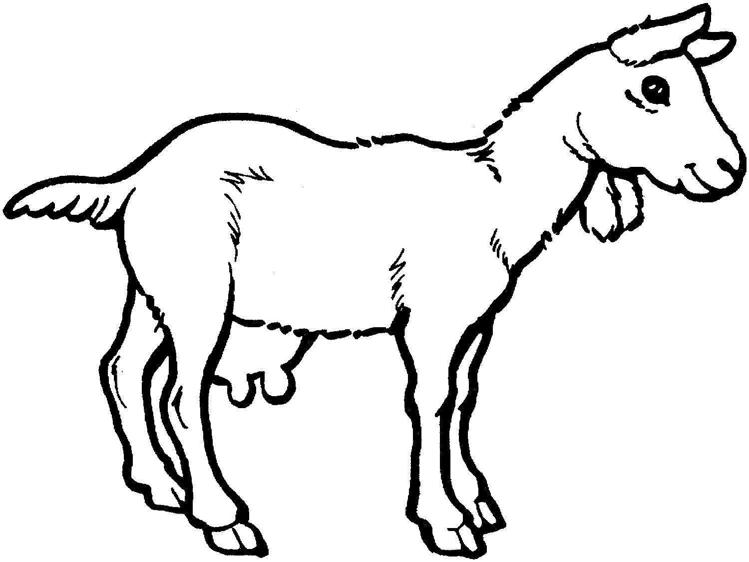 Free printable goat coloring pages for kids