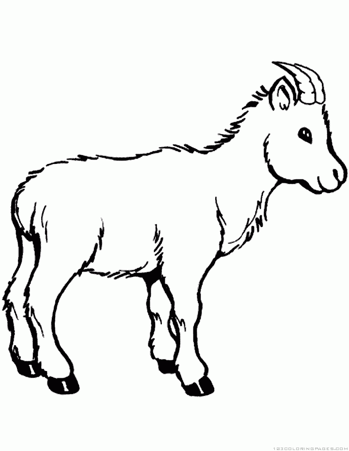 Goat coloring pages