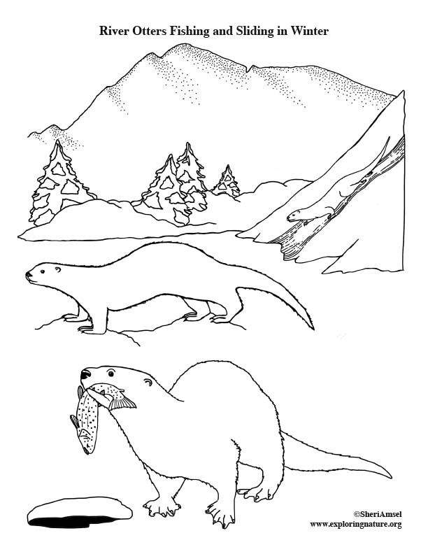 Otters river fishing and sliding in winter coloring page