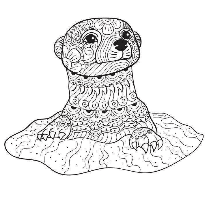 Otter coloring pages printable for free download