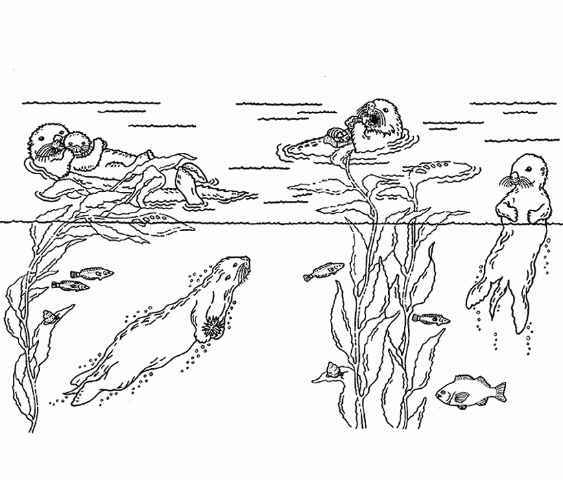 Otter coloring pages