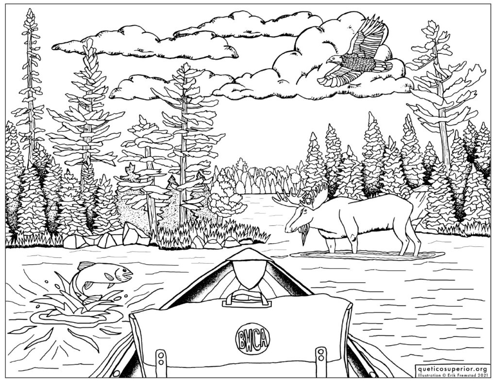 Coloring page caribou lake boundary waters canoe area wilderness