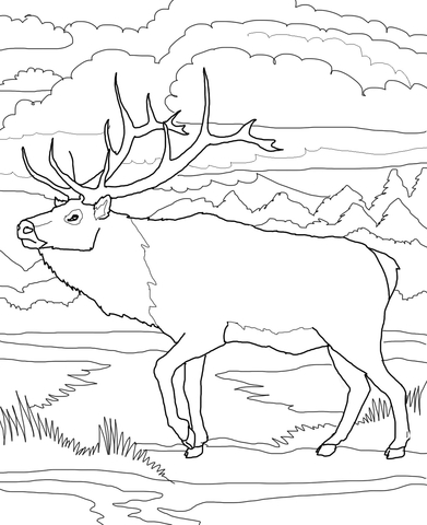 Woodland caribou coloring page free printable coloring pages