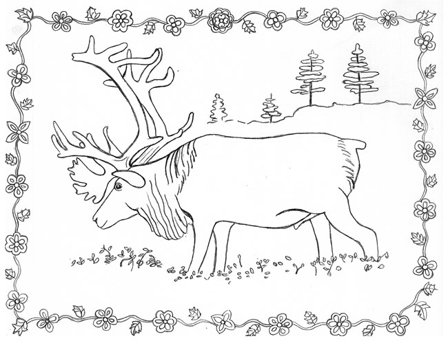 Coloring pages