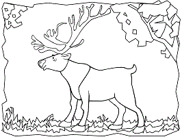 Reindeers coloring pages caribou