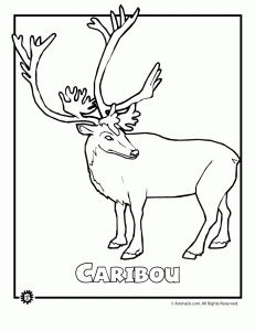 Endangered animals coloring pages animals from north america animal jr