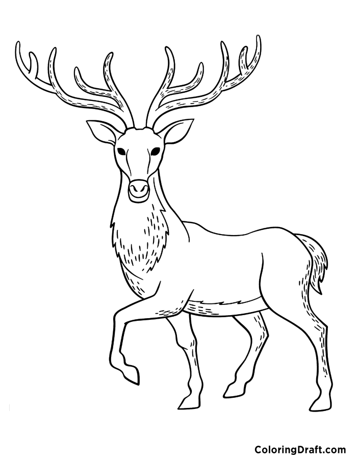 Caribou coloring pages