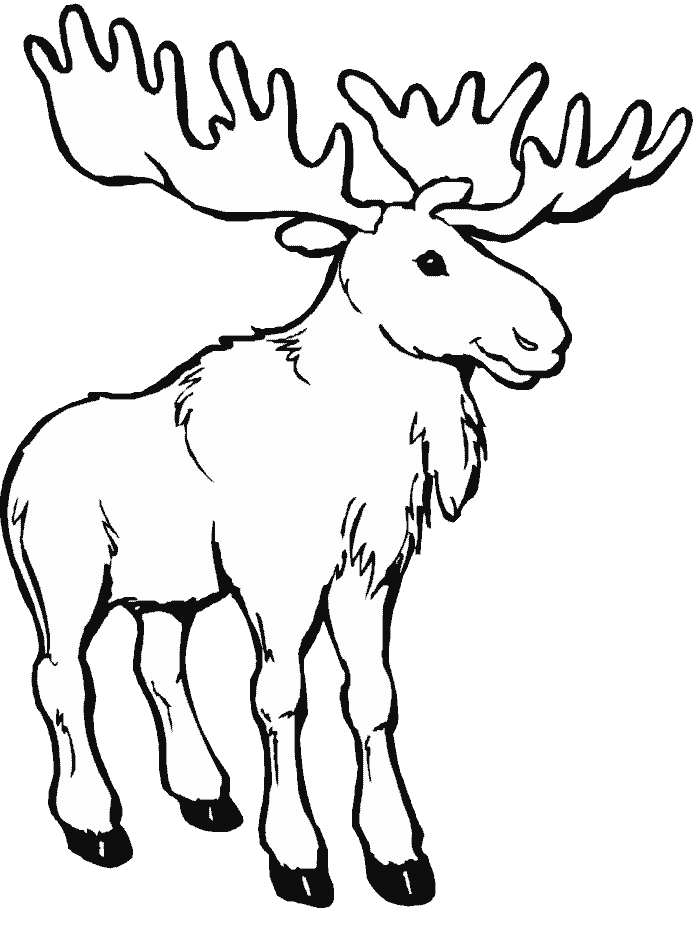 Coloring page caribou animals â printable coloring pages