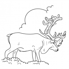 Top free printable reindeer coloring pages online