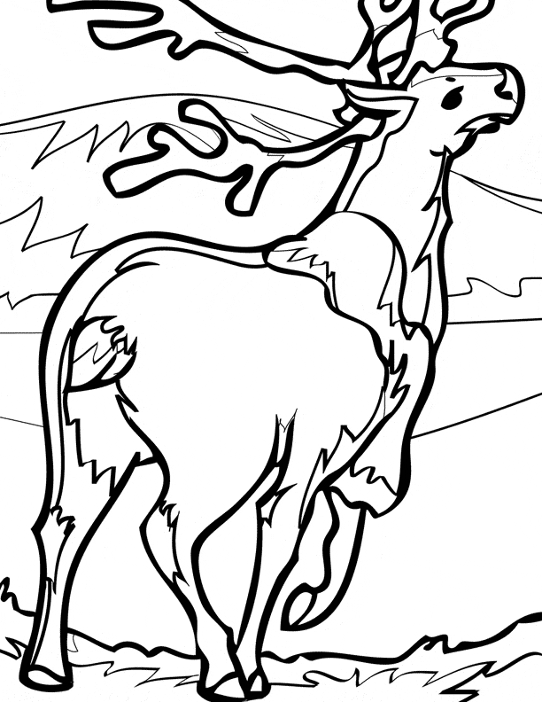 Caribou coloring page