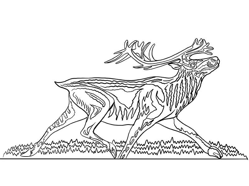 Coloring pages endangered species mural project