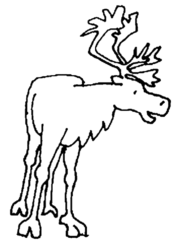 Caribou coloring page