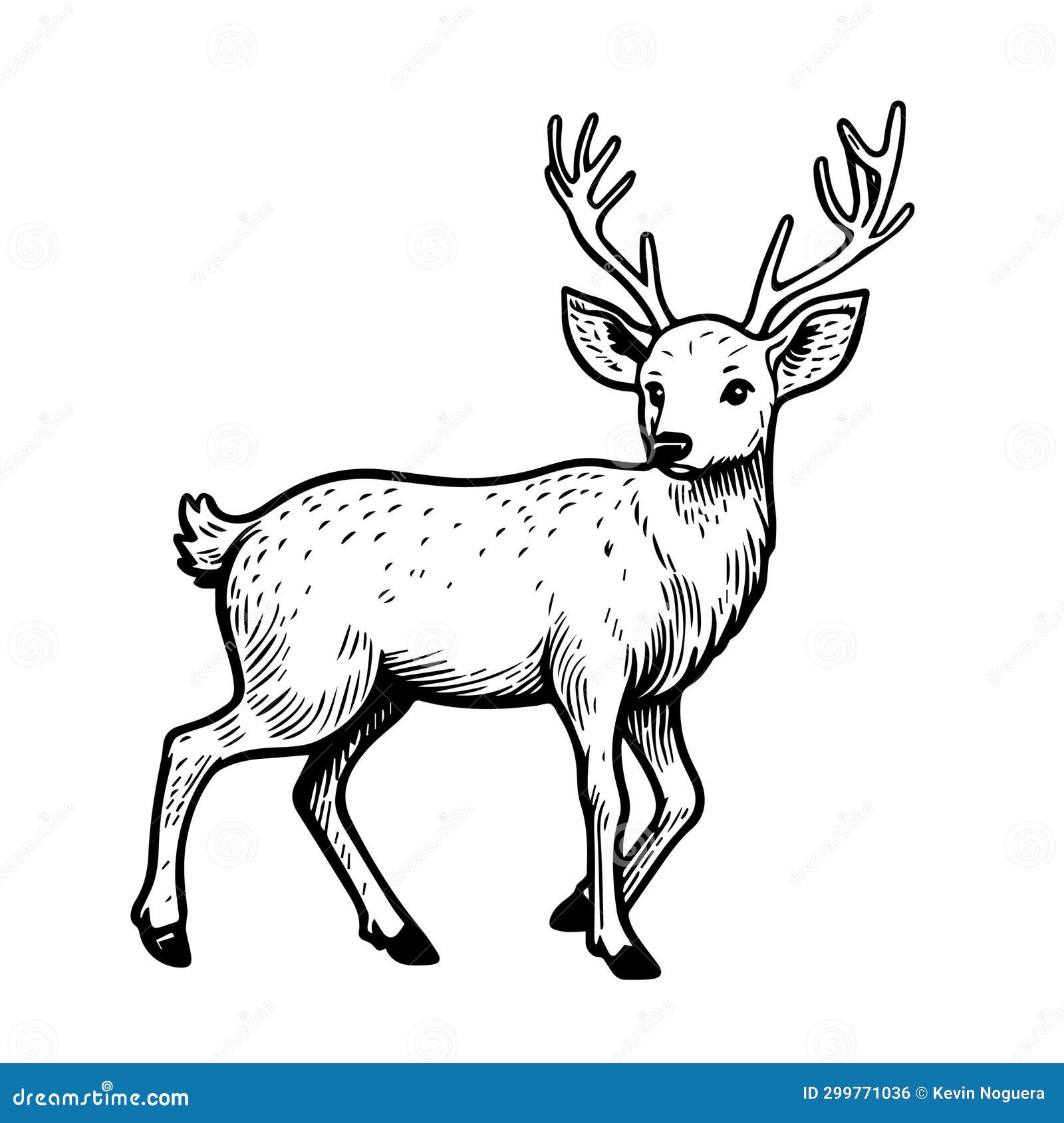 Caribou coloring page stock illustrations â caribou coloring page stock illustrations vectors clipart