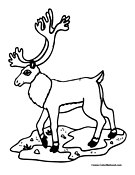 Caribou coloring pages