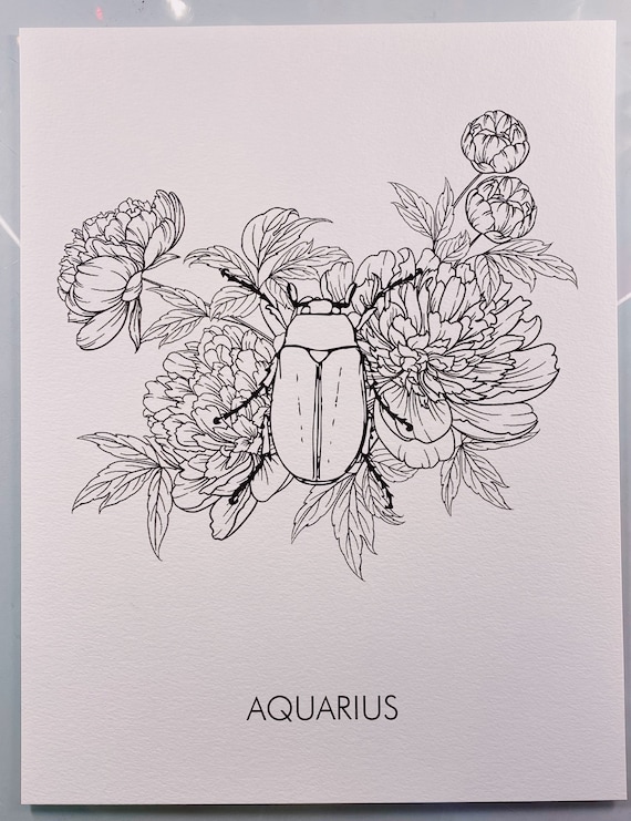 Aquarius june bug coloring page x page only