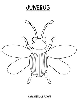 Junebug day drawing lesson and unit study resource tpt