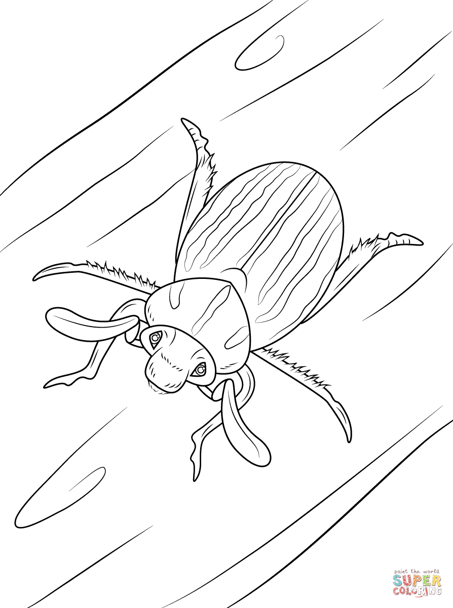 Ten lined june beetle coloring page free printable coloring pages