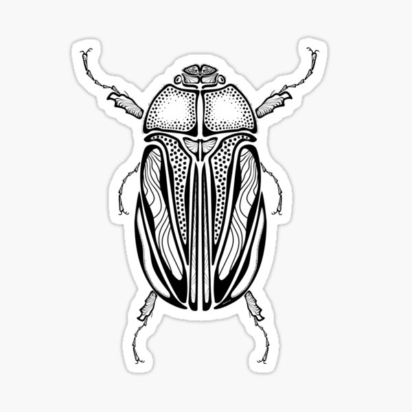 June beetle insect bug wiinjiig ááág ojibwe indigenous wawezhi canada sticker for sale by wawezhi