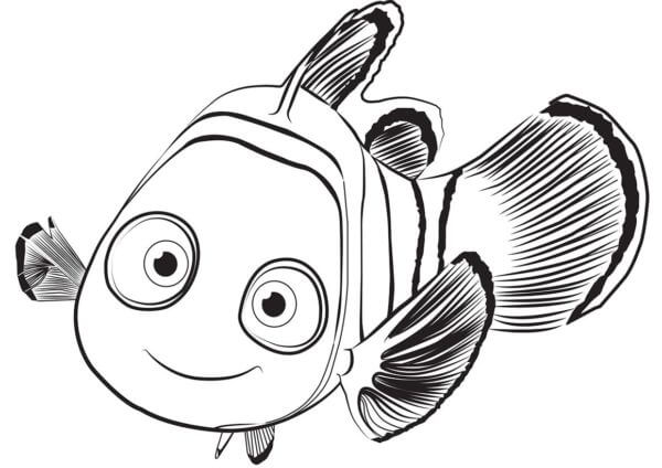 Clownfish named nemo coloring page