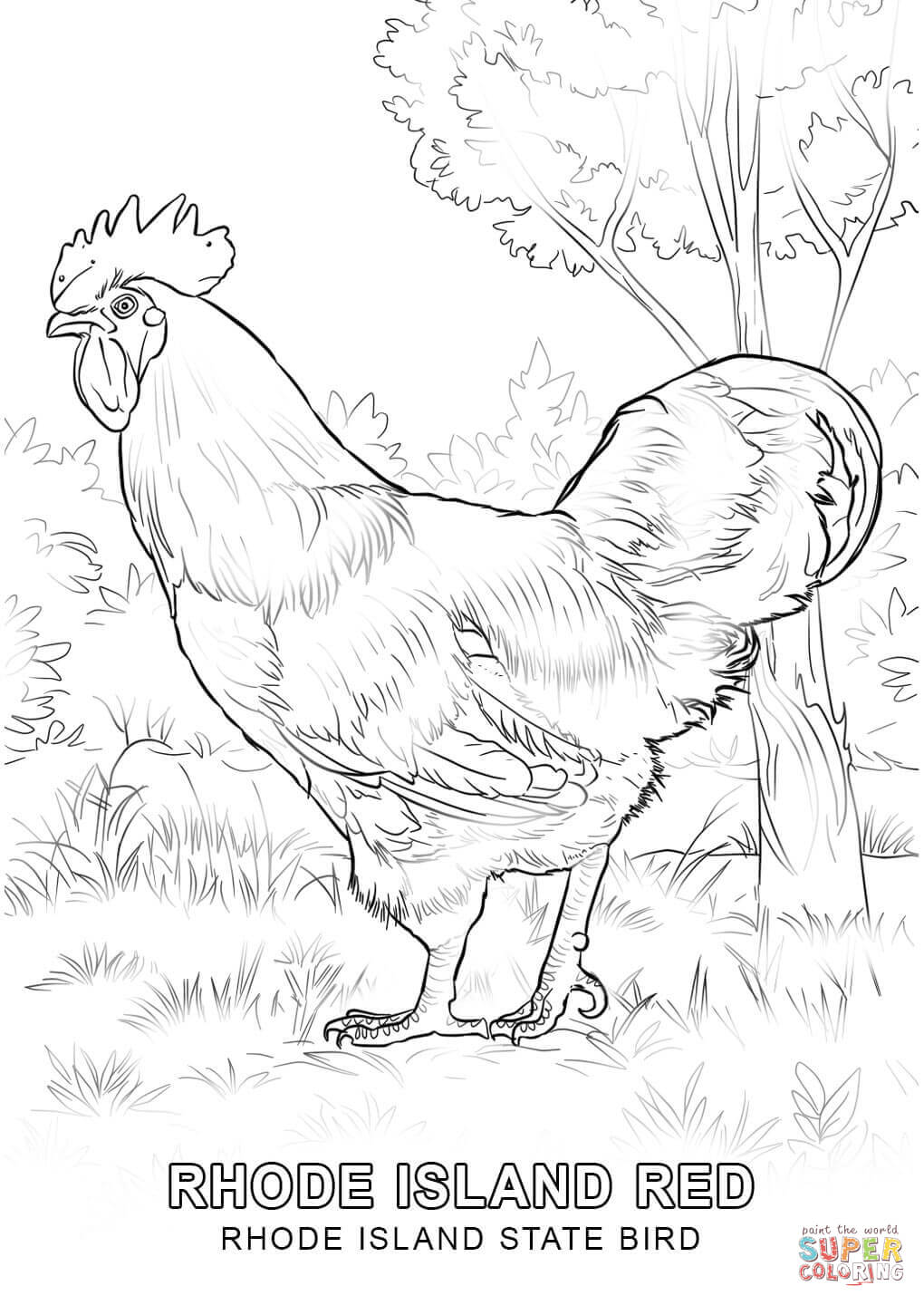 Rhode island state bird coloring page free printable coloring pages