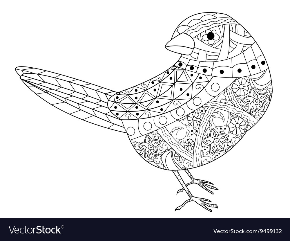 Sparrow coloring book for adults royalty free vector image