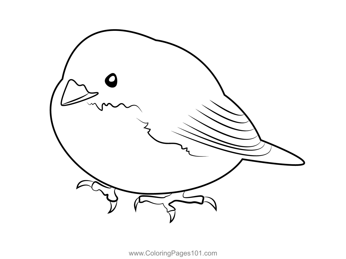 Fluffy sparrow coloring page for kids