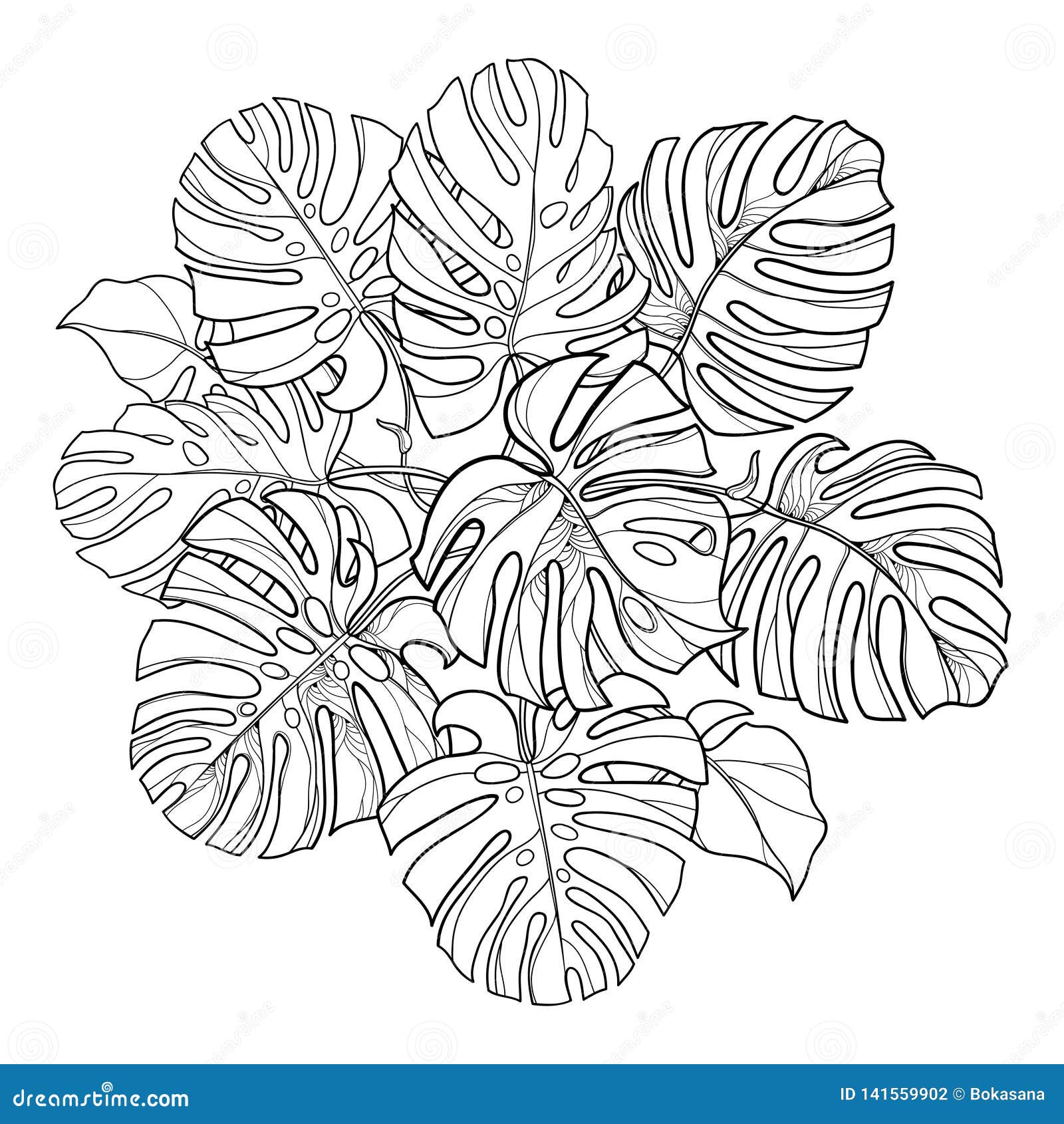 Vector round leaf bunch with outline tropical monstera or swiss cheese plant in black isolated on white background stock vector