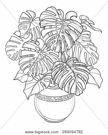 Vector outline vector photo free trial bigstock