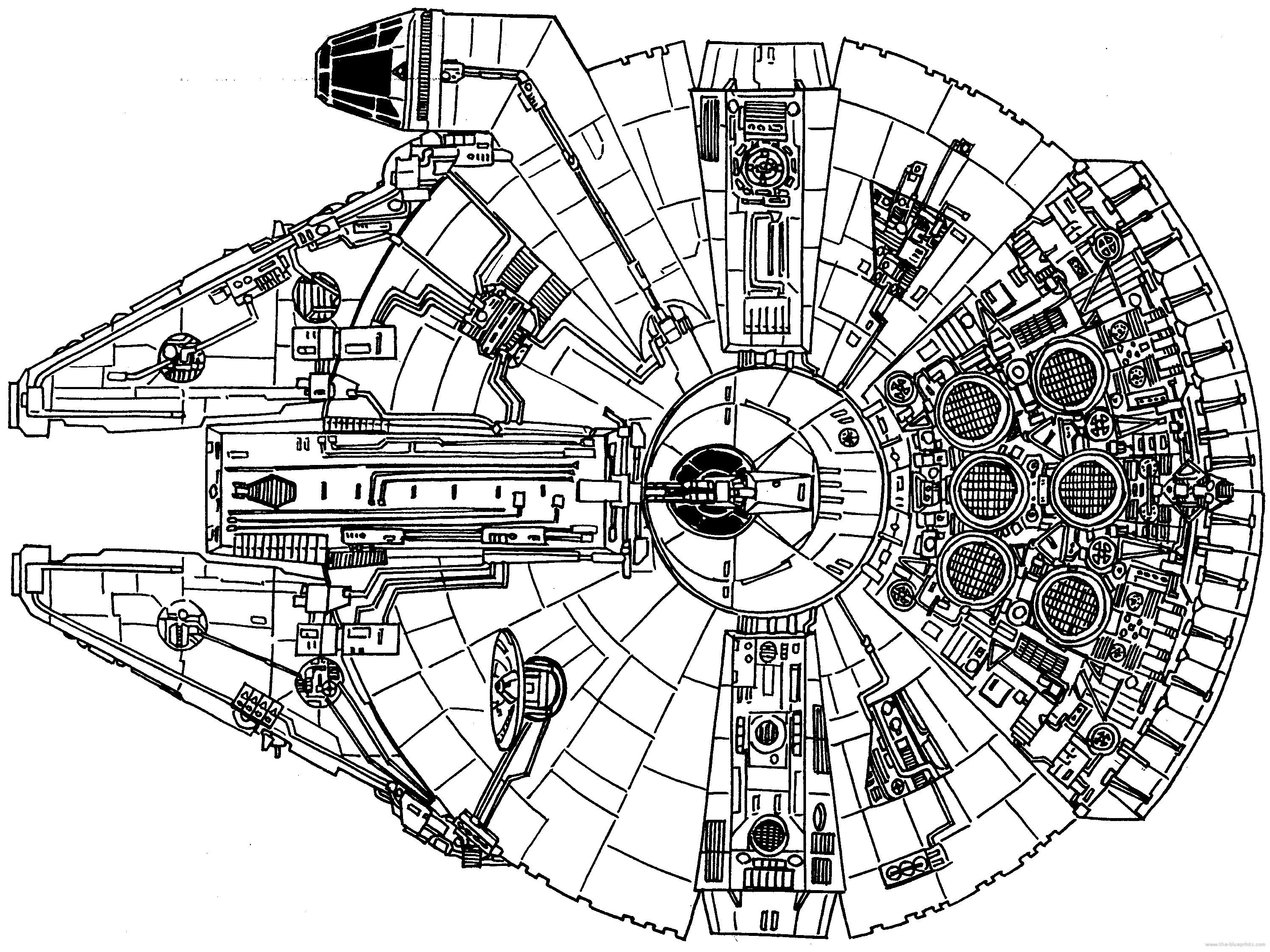 Excellent picture of falcon coloring pages