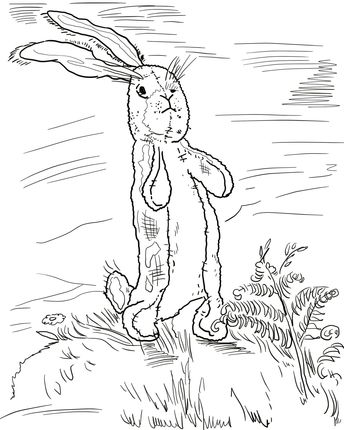 The velveteen rabbit