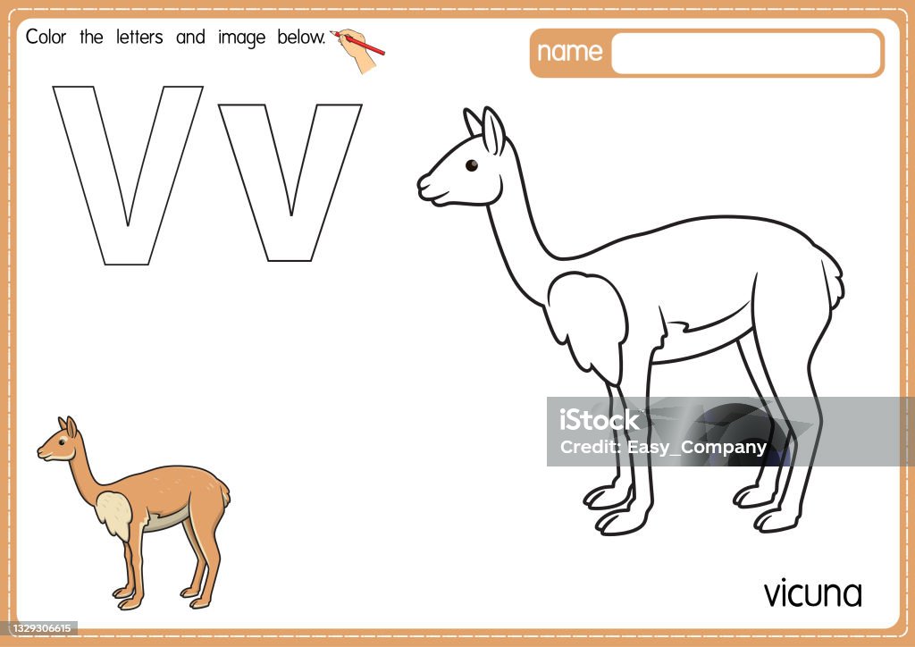 Vector illustration of kids alphabet coloring book page with outlined clip art to color letter v for vicuna stock illustration