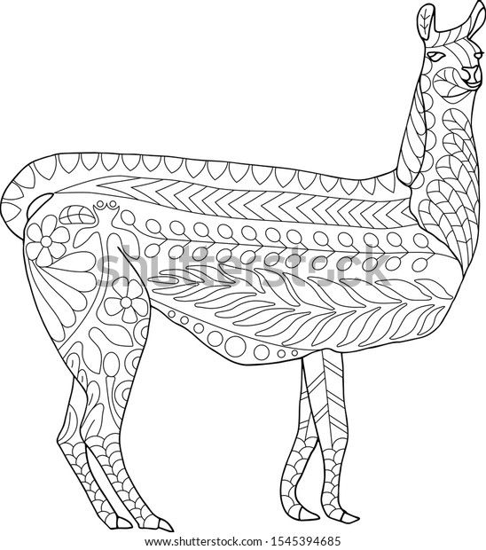 Vicuna zentangle coloring page vector illustration stock vector royalty free