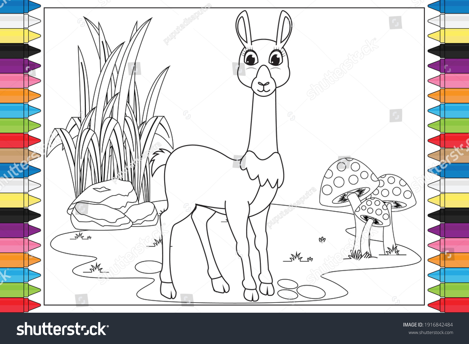 Coloring vicuna animal cartoon kids stock vector royalty free