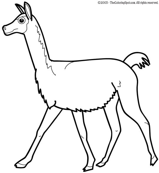 Vicuna coloring page audio stories for kids free coloring pages colouring printables